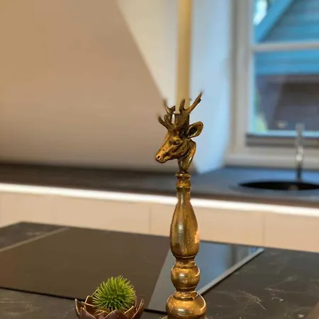 Hotel Driehof Panorama 9 *