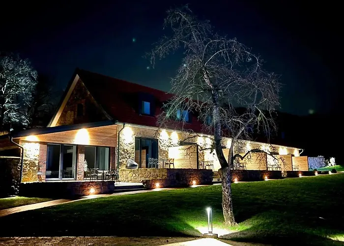 Hotel Driehof Panorama 9 *