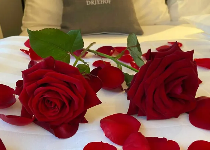 Driehof Panorama 9 *